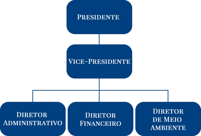 Diretoria Executiva